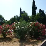 Jadran Διαμέρισμα