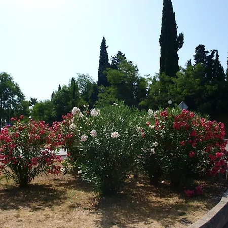 Jadran Apartamento