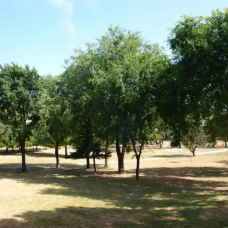 Jadran Apartamento *