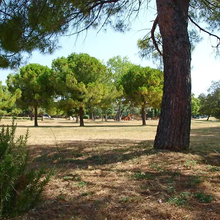 Sustipan 3* Split